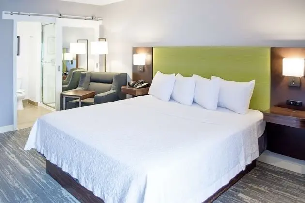 One King Bed, Non-Smoking, Accessible