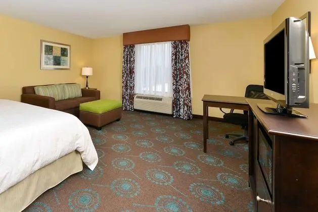 1 King Bed with Sofabed