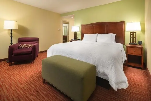 Oda, 1 En Büyük (King) Boy Yatak, Engellilere Uygun