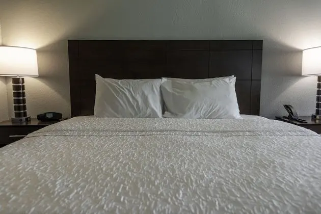 Oda, 1 En Büyük (King) Boy Yatak, Engellilere Uygun, Sigara İçilmez