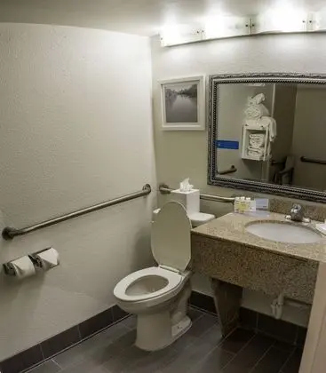 Oda, 1 En Büyük (King) Boy Yatak, Engellilere Uygun, Sigara İçilmez