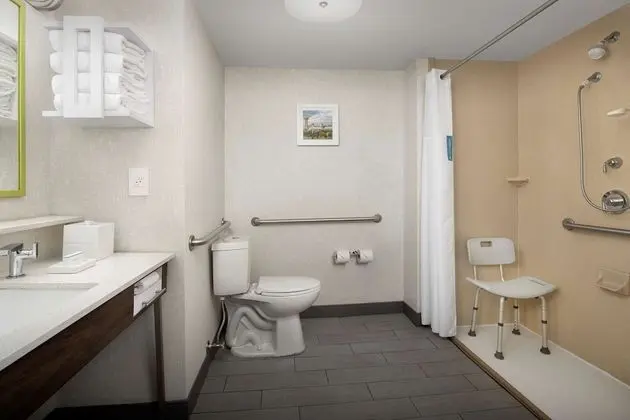 Oda, 1 En Büyük (King) Boy Yatak, Engellilere Uygun (Mobility/Hearing, Roll-in Shower)