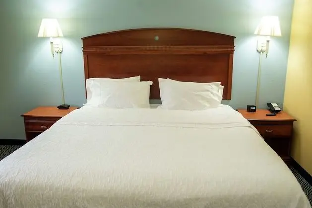 Bir King-Size Yataklı Oda (Sigara İçilmez)