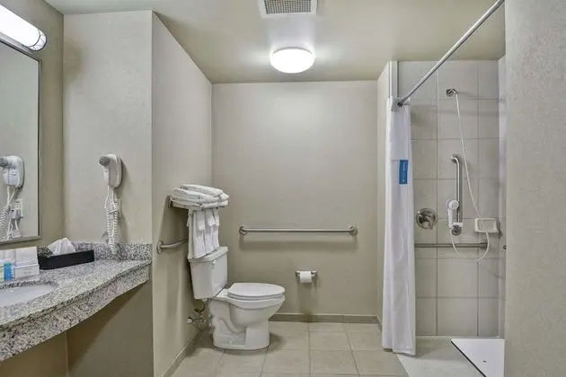 Oda, 1 En Büyük (King) Boy Yatak, Engellilere Uygun (Mobility & Hearing, Roll-In Shower)