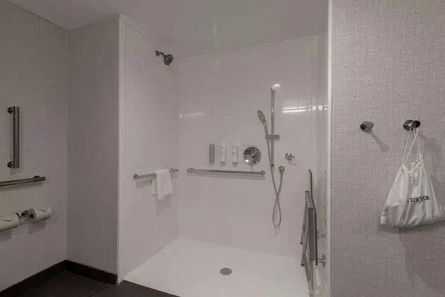 Stüdyo, 1 En Büyük (King) Boy Yatak, Engellilere Uygun (Roll-In Shower)