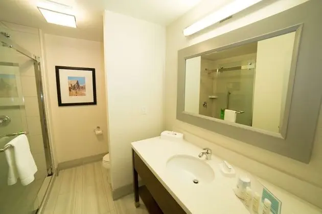 Oda, 1 En Büyük (King) Boy Yatak, Buzdolabı ve Mikrodalga