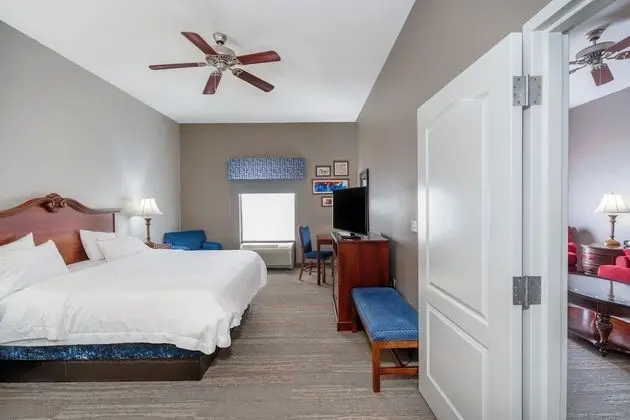 Süit, 1 Yatak Odası, Sigara İçilmez