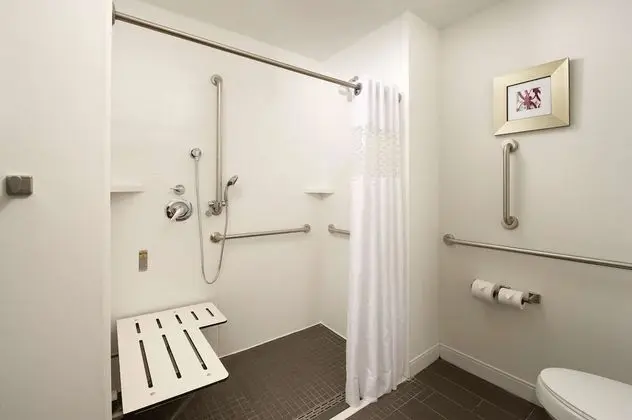 Oda, 1 En Büyük (King) Boy Yatak, Engellilere Uygun, Sigara İçilmez (Roll In Shower)
