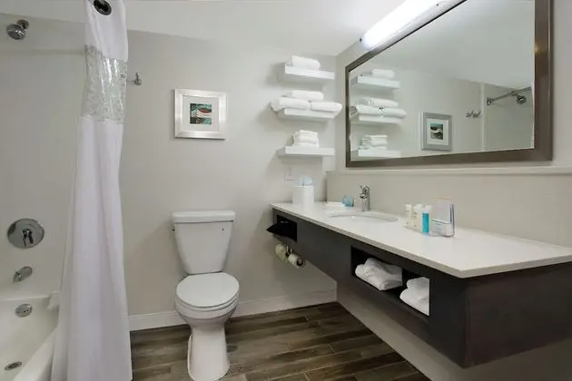 Bir En Büyük (King) Boy Yataklı (One King Bed With Micro Fridge Non Smoki)