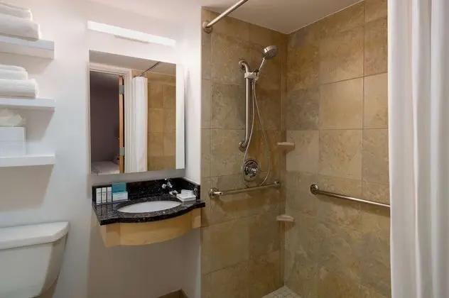 Oda, Engellilere Uygun, Sigara İçilmez (Roll-in Shower)