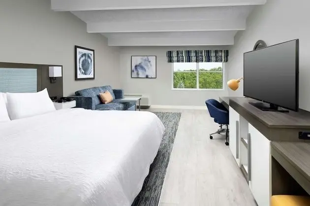 Room, 1 King Bed, Balcony/Patio (Hearing)