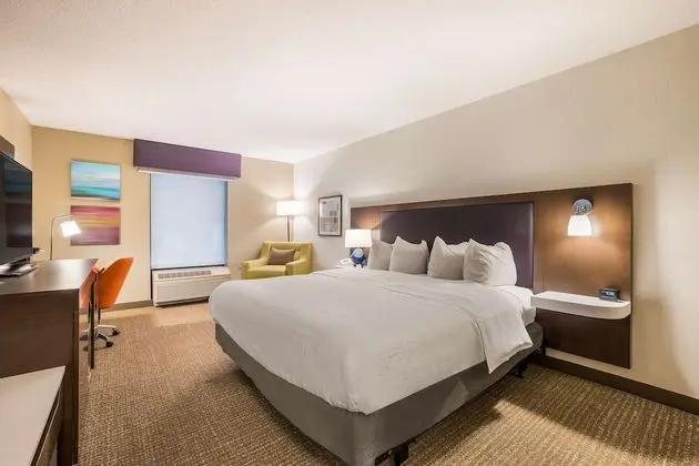 Oda, 1 En Büyük (King) Boy Yatak, Engellilere Uygun, Sigara İçilmez