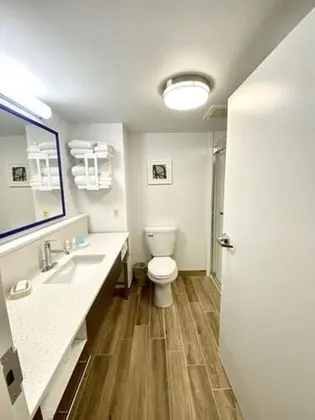 Oda, 1 En Büyük (King) Boy Yatak, Engellilere Uygun, Sigara İçilmez