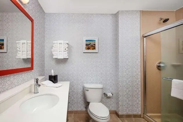 Oda, 1 En Büyük (King) Boy Yatak, Engellilere Uygun, Sigara İçilmez (Shower only)