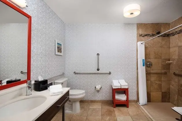 Oda, 1 En Büyük (King) Boy Yatak ve Çekyat, Engellilere Uygun (Roll-In Shower, Non-Smoking)