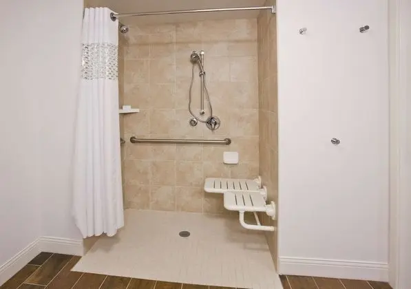 Oda, Engellilere Uygun, Sigara İçilmez (Roll-in Shower)