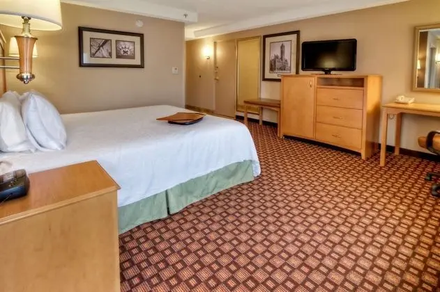ADA Accessible, Room, 1 King Bed, Bathtub