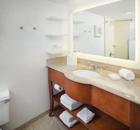 Oda, 1 En Büyük (King) Boy Yatak, Engellilere Uygun, Sigara İçilmez (Mobility, Roll-in Shower)