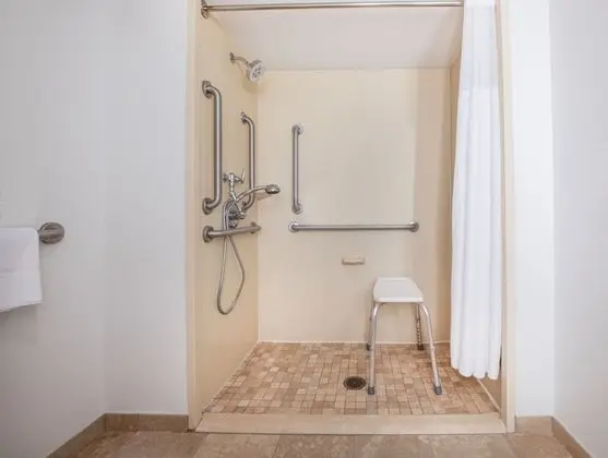 Oda, 1 En Büyük (King) Boy Yatak, Engellilere Uygun, Sigara İçilmez (Mobility, Roll-in Shower)