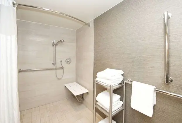 Oda, 1 En Büyük (King) Boy Yatak, Engellilere Uygun, Sigara İçilmez (Mobility, Roll-in Shower)