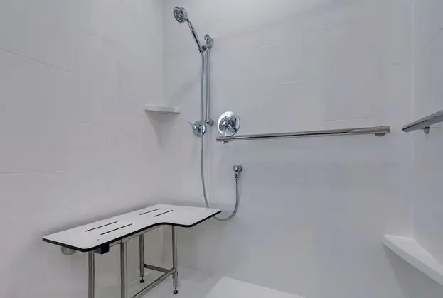 Oda, 1 En Büyük (King) Boy Yatak, Engellilere Uygun (Roll-In Shower)