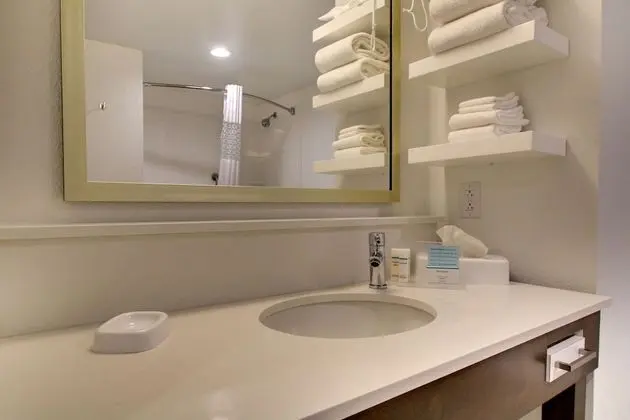 Oda, 1 En Büyük (King) Boy Yatak, Engellilere Uygun, Sigara İçilmez (w/ bathtub)