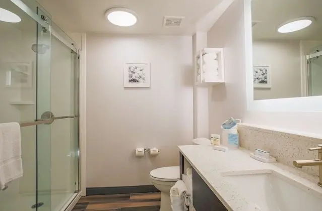 Oda, 1 En Büyük (King) Boy Yatak, Sigara İçilmez