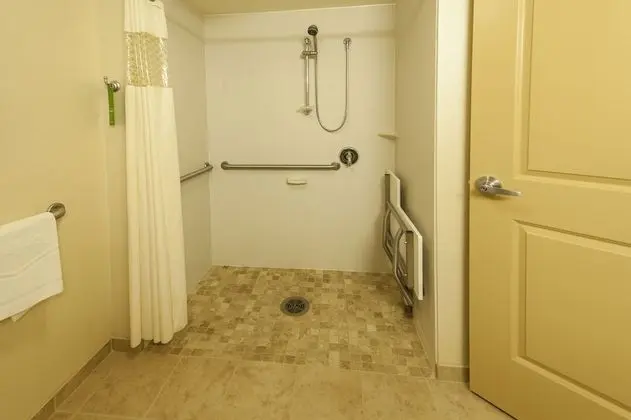 Oda, 1 En Büyük (King) Boy Yatak, Engellilere Uygun (Roll-In Shower)