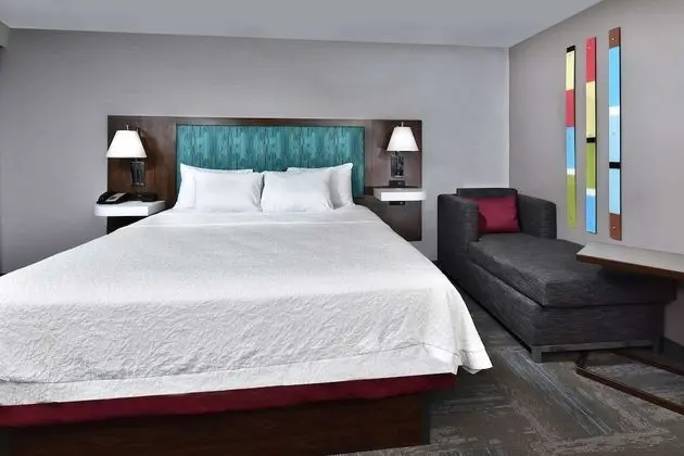 One King Bed, Large Room Nonsmoking