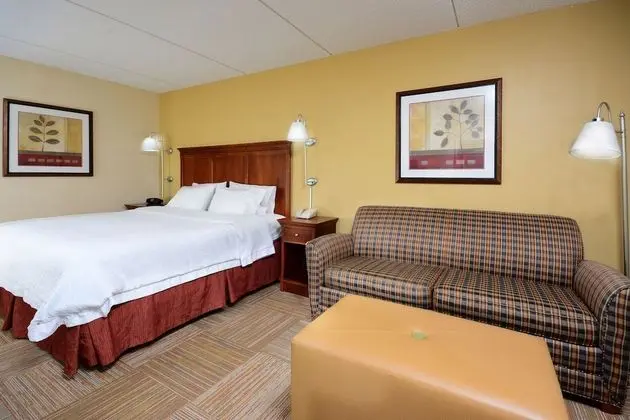 King Study with Sofa Bed