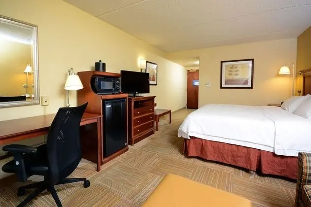 King Study with Sofa Bed