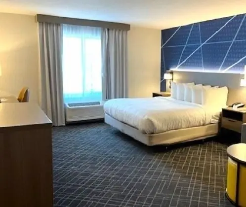 Oda, 1 En Büyük (King) Boy Yatak, Engellilere Uygun, Sigara İçilmez (Roll-in Shower)