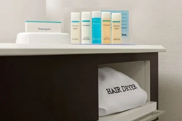 Süit, 1 En Büyük (King) Boy Yatak, Sigara İçilmez (Mini Suite)