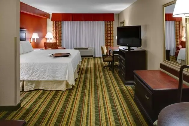 Deluxe Stüdyo Süit, 1 En Büyük (King) Boy Yatak ve Çekyat, Sigara İçilmez, Küçük Mutfak