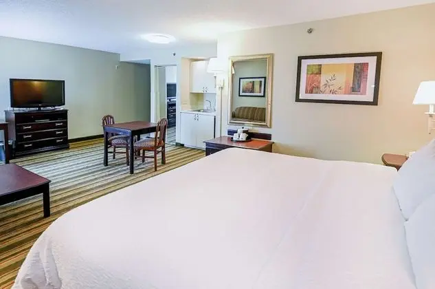 Deluxe Stüdyo Süit, 1 En Büyük (King) Boy Yatak ve Çekyat, Sigara İçilmez, Küçük Mutfak