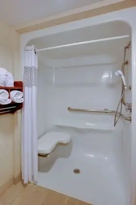 Oda, 1 En Büyük (King) Boy Yatak, Engellilere Uygun (Mobility/Hearing, Roll In Shower)
