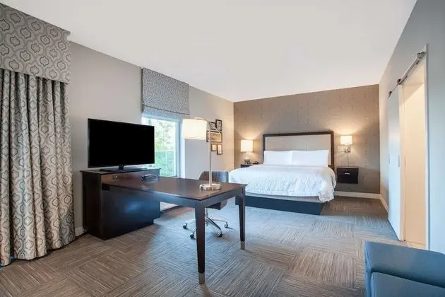 Studio, 1 King Bed, Accessible, Balcony