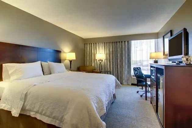 Bir King-Size Yataklı Oda (Sigara İçilmez)