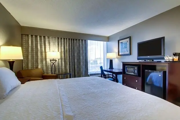 Bir King-Size Yataklı Oda (Sigara İçilmez)