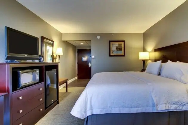 Bir King-Size Yataklı Oda (Sigara İçilmez)