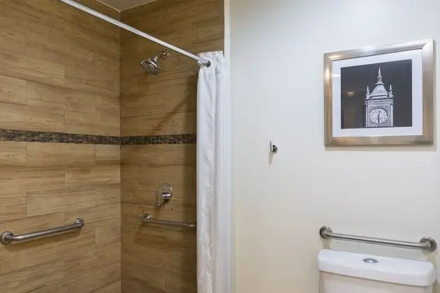 Oda, 1 En Büyük (King) Boy Yatak, Engellilere Uygun, Sigara İçilmez (Roll In Shower)