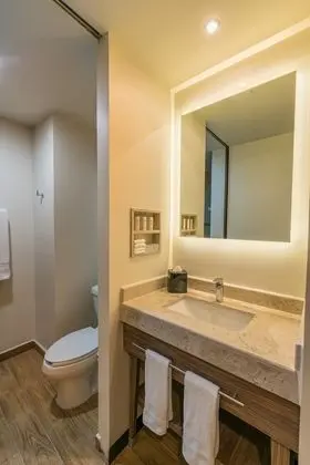 Oda, 1 En Büyük (King) Boy Yatak, Engellilere Uygun, Sigara İçilmez (Roll In Shower)