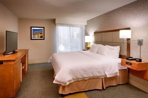 Suite, 1 Bedroom, 1 King with Sofa Bed