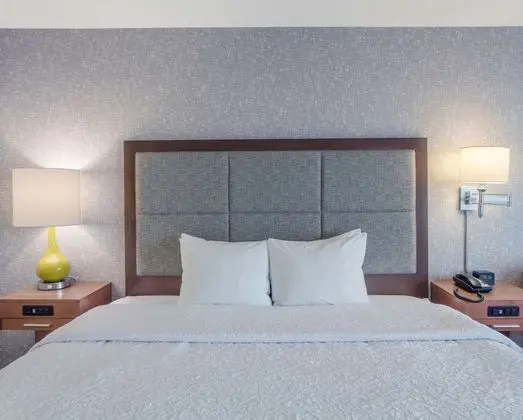 Suite, 1 Bedroom, 1 King with Sofa Bed