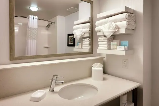Suite, 1 Bedroom, 1 King with Sofa Bed