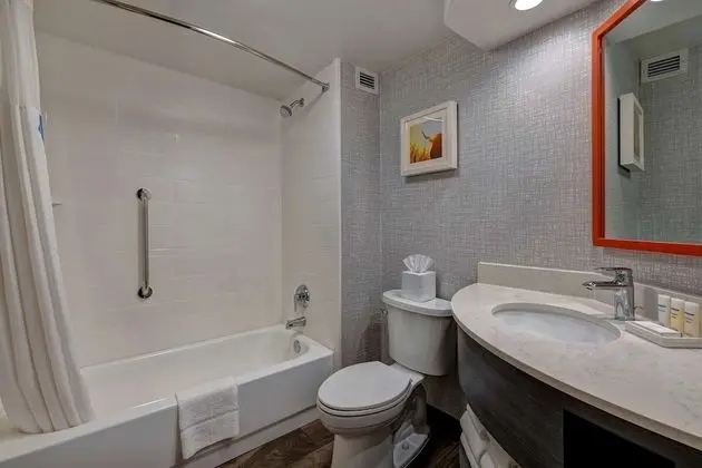 Oda, 1 En Büyük (King) Boy Yatak, Engellilere Uygun (Mobility & Hearing, 3x3 Shower)