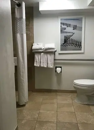Oda, 2 Büyük (Queen) Boy Yatak, Engellilere Uygun (Mobility & Hearing, Roll-in Shower)