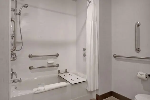 Stüdyo, 1 En Büyük (King) Boy Yatak, Engellilere Uygun (Mobility & Hearing, Roll-In Shower)