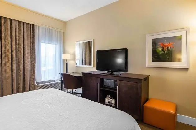 Oda, 1 En Büyük (King) Boy Yatak, Engellilere Uygun (Mobility & Hearing, Roll-in Shower)