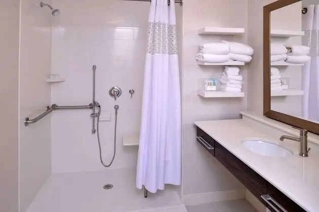 Oda, 1 En Büyük (King) Boy Yatak, Engellilere Uygun, Sigara İçilmez (Roll In Shower)